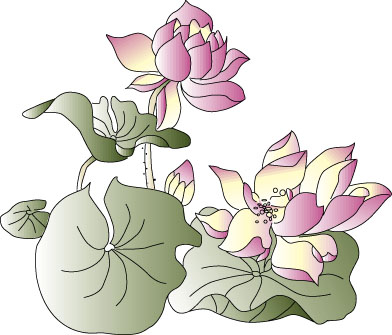 Lotus Lotus Flower Previous Image Next image