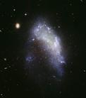 Published on 3/4/2005 Hubble detected a small milky way galaxy located 62 million light years away on the verge of destruction.
