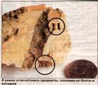 Russian Newspaper: 'A Stone from Outer Space' - From the Photo, One can See Objects that Look Like a Screw or a Nut.