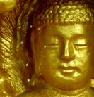 韩国全罗南道顺天市海龙面的须弥山禅院的佛像上出现佛家传说中的优昙婆罗花   优昙婆罗花开日  法轮圣王正法时