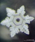 Published on 11/2/2004 Photo of water crystal after accepting 500 people expressing "Love."