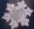 Published on 11/2/2004 Photo of water crystal.