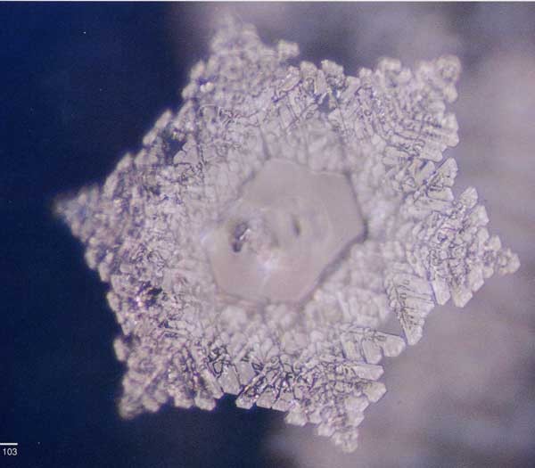 Experiments on Water Crystals. Crystal after reading“Love/Thanks” in 