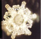 Published on 11/2/2004 This picture shows a crystal of water from Three Branch Spring. The spring is located in Kita Mikoma County of Yamanashi in Japan, which split into three branches at one point, and thus called Three Branch Spring. There are also three branches at each arm of the crystal.