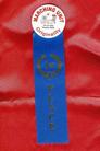 圣地亚哥法轮功学员参加国庆日游行被授予「最佳创意奖」 美国  圣地亚哥 2004-7-4