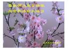 Published on 5/14/2010 ֹ,½󷨵Ӻʦ𻪵編ִգʮ260أ - ִ - minghui.org