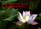 Published on 5/14/2010 ֹ,½󷨵Ӻʦ𻪵編ִգʮߣ210أ - ִ - minghui.org