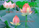 Published on 10/5/2006 ½󷨵ӹףʦ֣һ