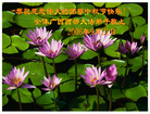 Published on 10/5/2006 ½󷨵ӹףʦ֣һ