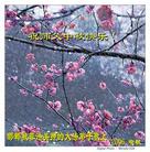 Published on 10/5/2006 ½󷨵ӹףʦ֣һ