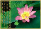 Published on 10/5/2006 ½󷨵ӹףʦ֣һ