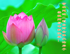 Published on 10/5/2006 ½󷨵ӹףʦ֣һ