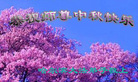 Published on 10/6/2006 ½󷨵ӹףʦ֣ģ