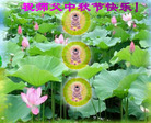 Published on 10/6/2006 ½󷨵ӹףʦ֣ģ