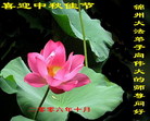 Published on 10/6/2006 ½󷨵ӹףʦ֣ģ