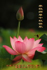 Published on 10/6/2006 ½󷨵ӹףʦ֣壩