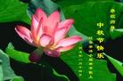 Published on 10/6/2006 ½󷨵ӹףʦ֣壩