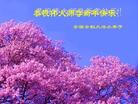 Published on 1/2/2007 ½󷨵ӹףʦ֣ʮһ 