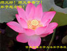 Published on 1/2/2007 ½󷨵ӹףʦ֣ʮһ 