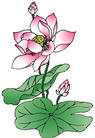 Published on 7/15/2002 Art Design: Lotus