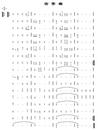 1/13/2002发表.�󷨵��ӵ����֣�������