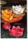 Published on 2/22/2006 介绍一种折莲花和百合的方法（图）
