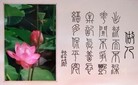 Published on 5/26/2012 法轮功,【征稿选登】篆书：做人 - 法轮大法明慧网
