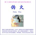 Published on 2/19/2004 VCD封面设计一款：伪火、全球华人新年晚会（图）
