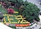 Published on 7/30/2001 Dafa practitioners in front of Chinese embassy in Washington D.C. in July 2001.