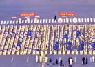 1/2/2002发表.̨��Ԫ���������������?#27861;���˼�?OrigDocURL=http://www.minghui.ca/mh/articles/2002/1/2/22397.html