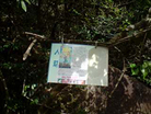 Published on 11/19/2008 ڵɽߵĸͼ