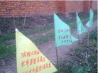 Published on 2/6/2009 ũ·ԵС죨ͼ