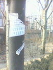 Published on 5/12/2009 ĳ㵽ͼƬ