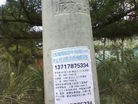 Published on 5/12/2009 ĳ㵽ͼƬ