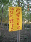 Published on 5/15/2009 ͼƬ塤һ ִ