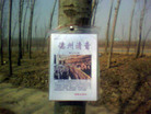 Published on 5/19/2009 ʮմ½ۺϢ