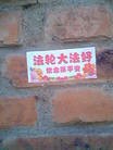 Published on 3/18/2010 ֹ,һʮմ½ۺϢ - ִ - minghui.org