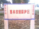 Published on 6/11/2010 ֹ,Ƭĳز - ִ - minghui.org