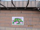 Published on 5/14/2011 ֹ,조һĳ洦ɼ - ִ
