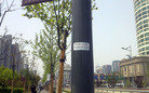 Published on 5/4/2011 ֹ,ճϺճ - ִ
