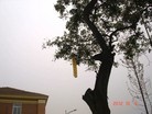 Published on 10/12/2012 ֹ,һʮʮմ½ۺϢ
