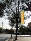 Published on 11/12/2012 ֹ,һʮһʮմ½ۺϢ
