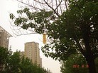 Published on 7/20/2012 ֹ,һ¶ʮմ½ۺϢ - ִ

