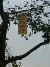 Published on 7/20/2012 ֹ,һ¶ʮմ½ۺϢ - ִ
