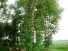 Published on 7/21/2012 ֹ,һ¶ʮһմ½ۺϢ - ִ
