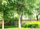 Published on 7/21/2012 ֹ,һ¶ʮһմ½ۺϢ - ִ
