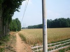 Published on 7/27/2012 ֹ,һ¶ʮմ½ۺϢ - ִ
