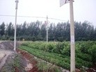 Published on 7/27/2012 ֹ,һ¶ʮմ½ۺϢ - ִ

