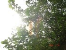 Published on 8/28/2012 ֹ,һ¶ʮմ½ۺϢ
