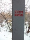 Published on 1/26/2013 ֹ,һһ¶ʮմ½ۺϢ
